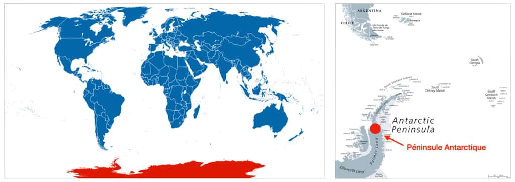 Carte du monde et carte de la péninsule Antarctique © Peter Hermes Furian, Adobe stock
